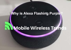 Why is Alexa Flashing Purple?