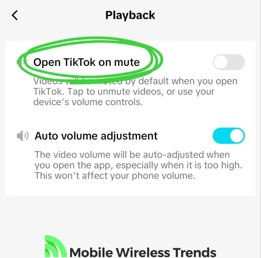 open tiktok on mute to stop pausing music